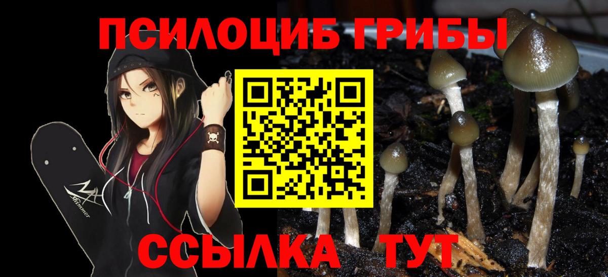 Конопля Богданович
