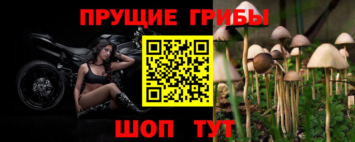 Галлюциногенные грибы мухоморы Богданович