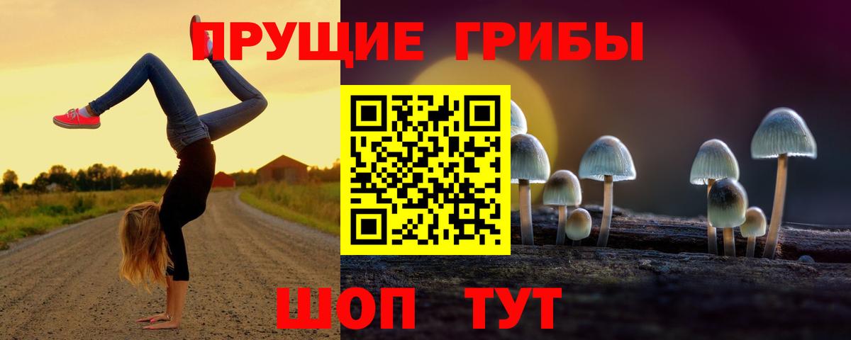 Богданович  Псилоцибиновые грибы прущие грибы  Вход с VPN 